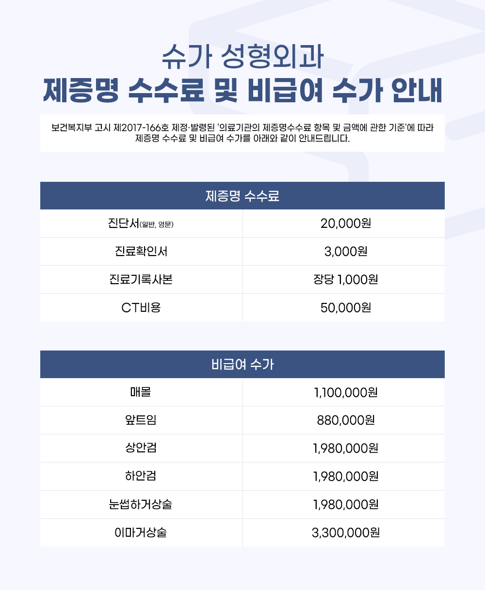 250529_비급여항목 첨부 이미지