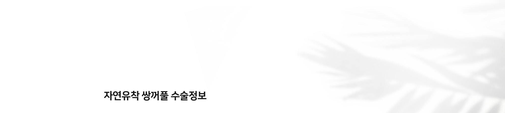 자연유착 쌍꺼풀 수술정보