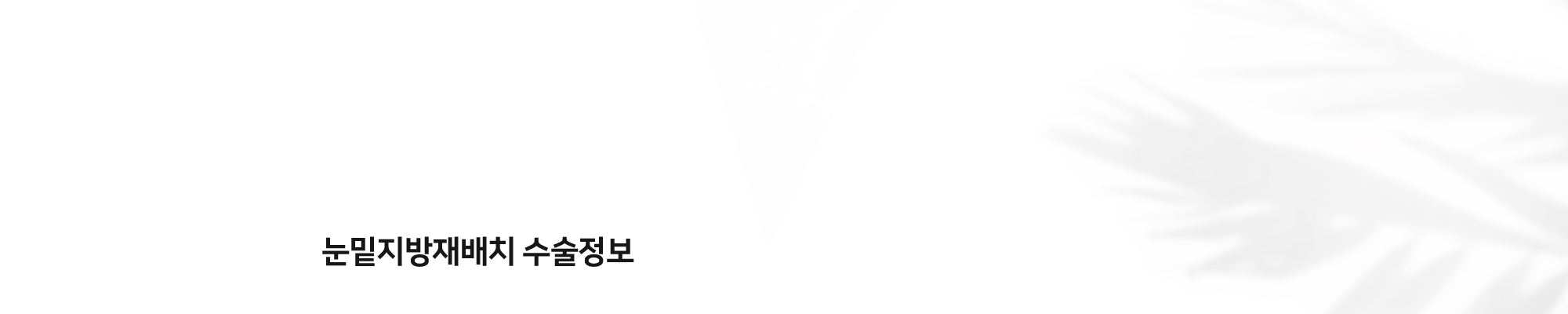 눈밑지방재배치 수술정보