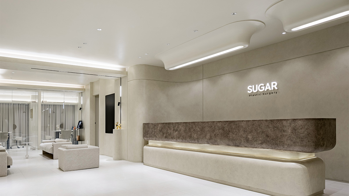 Sugar plastic surgery inside view #1