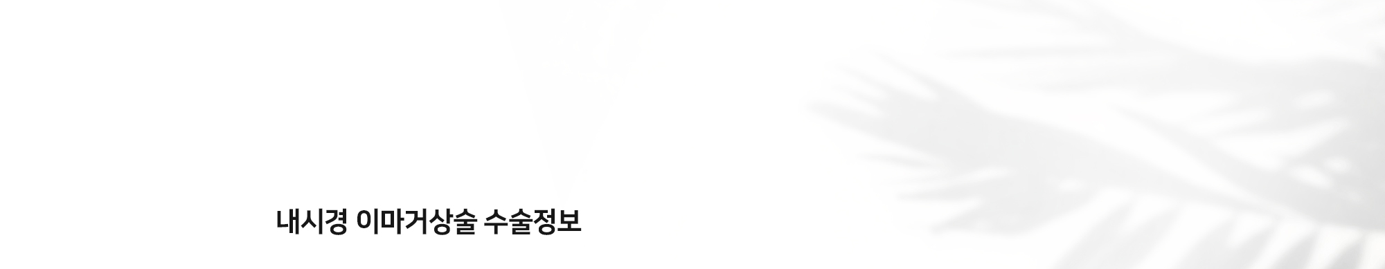 [내시경 이마거상술 수술정보]