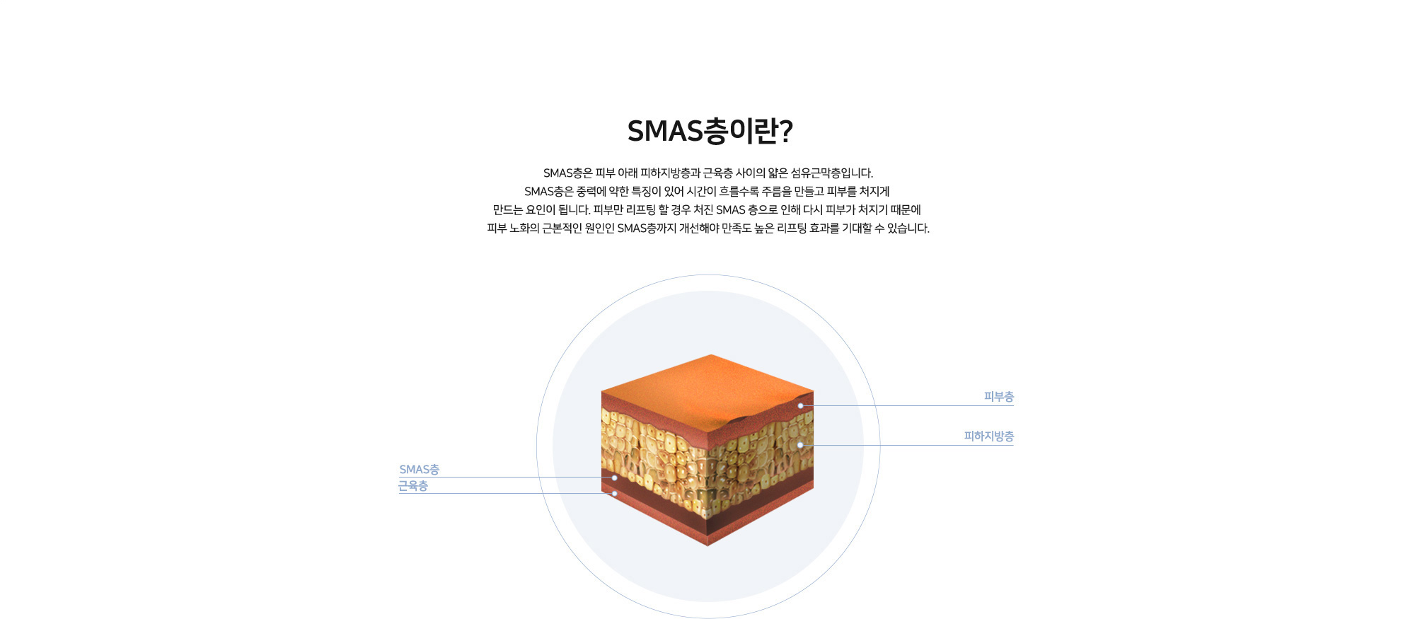 [SMAS층이란?] SMAS층은 피부 아래 피하지방층과 근육층 사이의 얇은 섬유근막층입니다. SMAS층은 중력에 약한 특징이 있어 시간이 흐를수록 주름을 만들고 피부를 처지게 만드는 원인이 됩니다. 피부 리프팅 할 경우 처진 SMAS층으로 인해 다시 피부가 처지기 때문에 피부 노화의 근본적인 원인인 SMAS층까지 개선해야 만족도 높은 리프팅 효과를 기대할 수 있습니다. 피부층, 피하지방층, SMAS층, 근육층