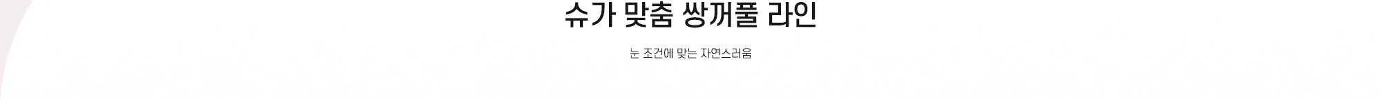 슈가 맞춤 쌍꺼풀 라인 - 눈 조건에 맞는 자연스러움
