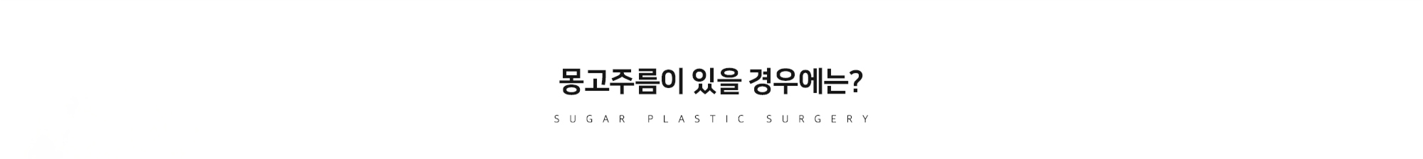 [몽고주름이 있을 경우에는?] SUGAR PLASTIC SURGERY
