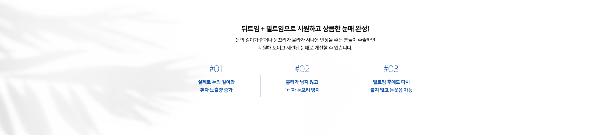 #01 : 실제로 눈의 길이와 흰자 노출량 증가   #02 : 흉터가 남지 않고 'ㄷ'자 눈꼬리 방지   #03 : 밑트임 후에도 다시 붙지 않고 눈웃음 가능