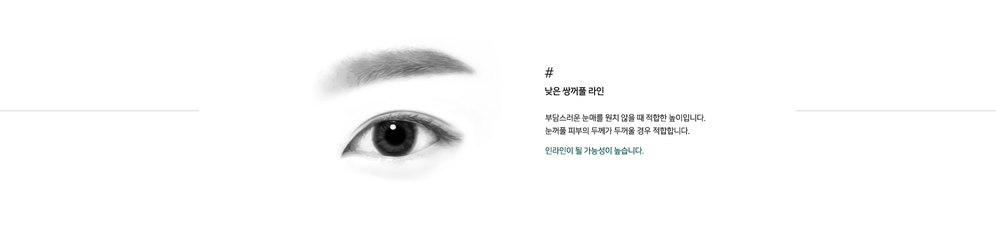 낮은 쌍꺼풀 라인 높이 예시